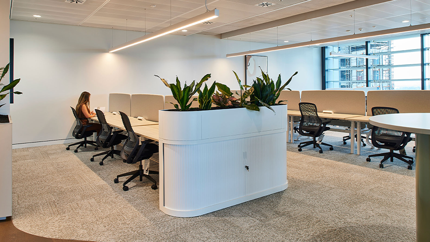 Case Study: A spacious haven at Barangaroo