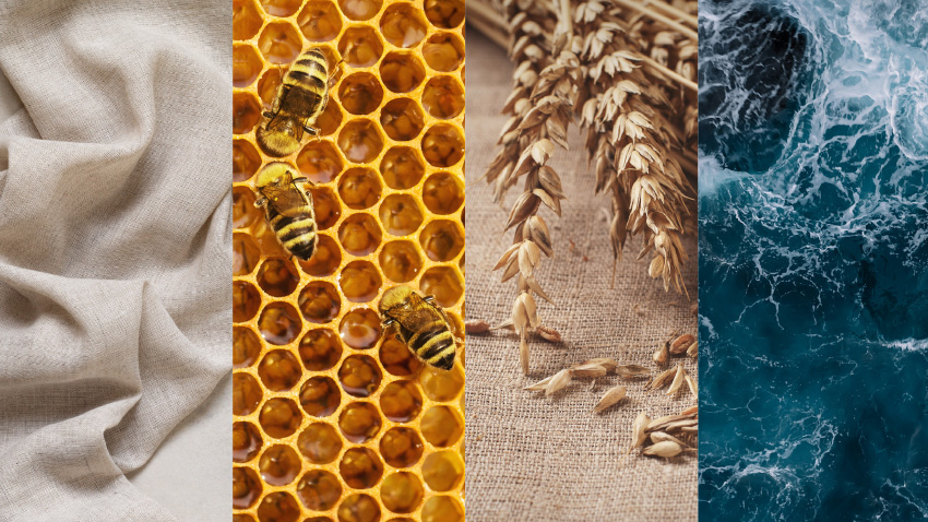 Impact Acoustic Release 4 New Colours